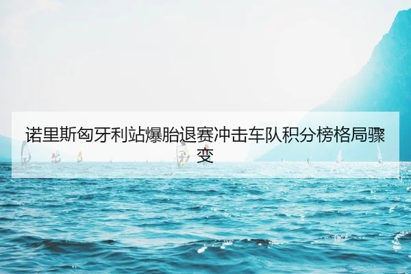 诺里斯匈牙利站爆胎退赛冲击车队积分榜格局骤变